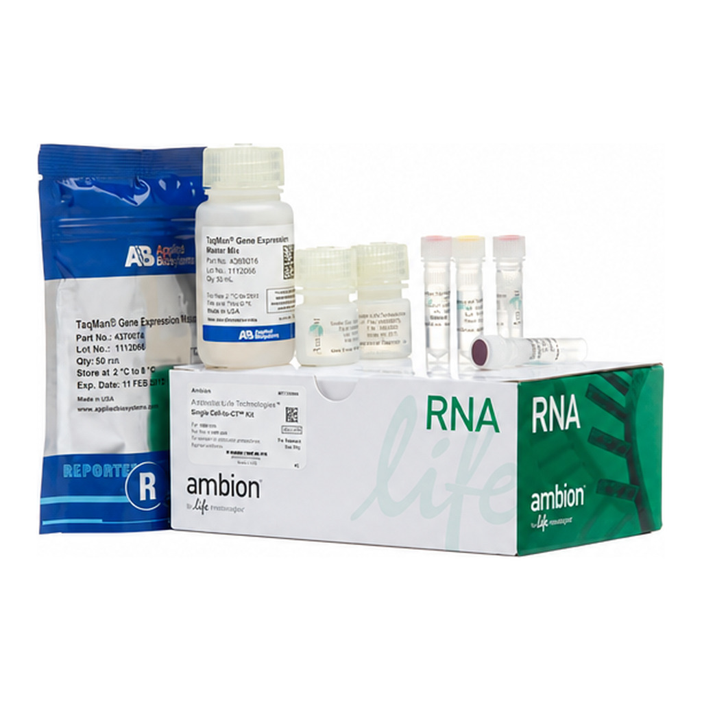 Thermo Fisher Scientific Single Cell-to-CT qRT-PCR Kit, 400 reactions