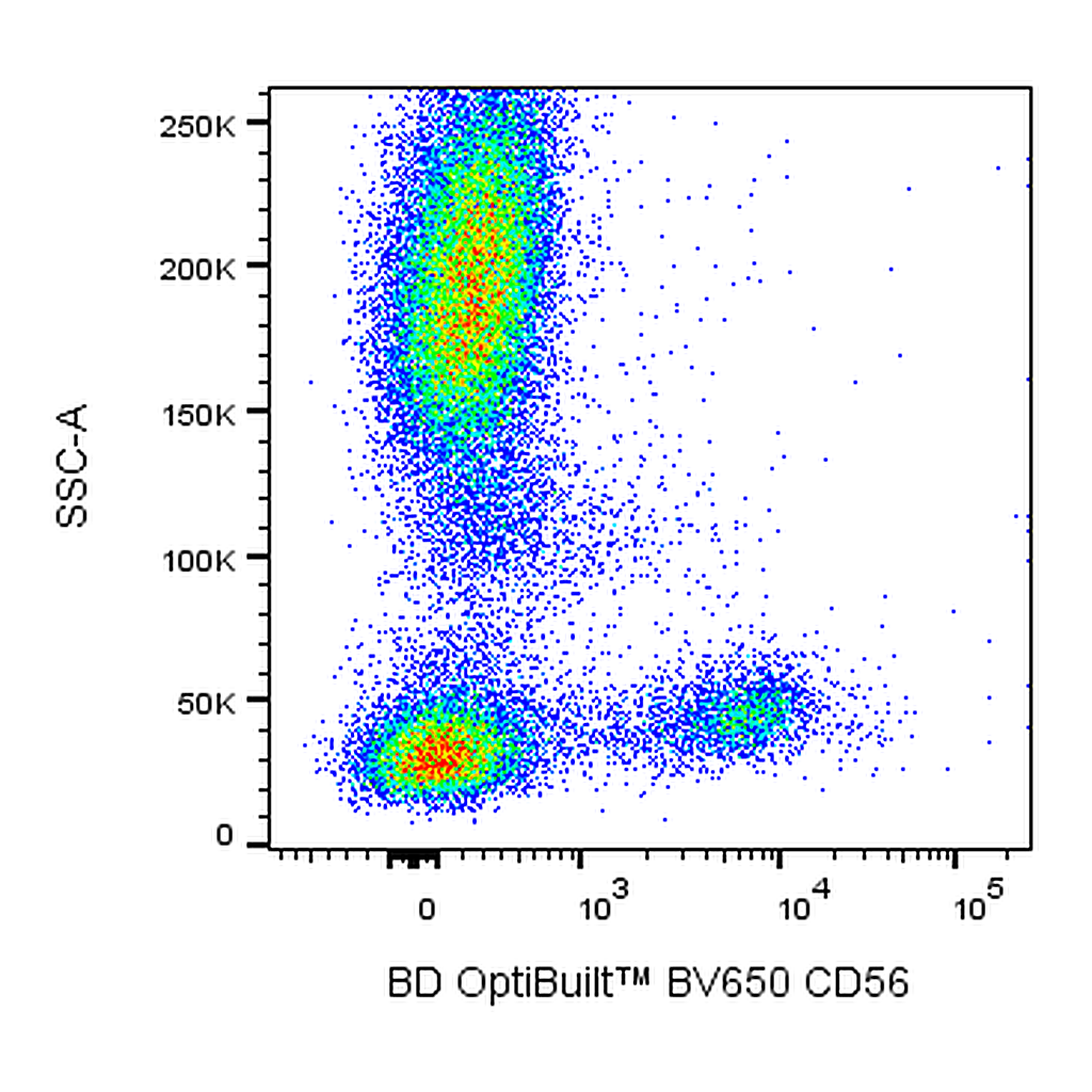 BD BV650 Mouse Anti-Human CD56