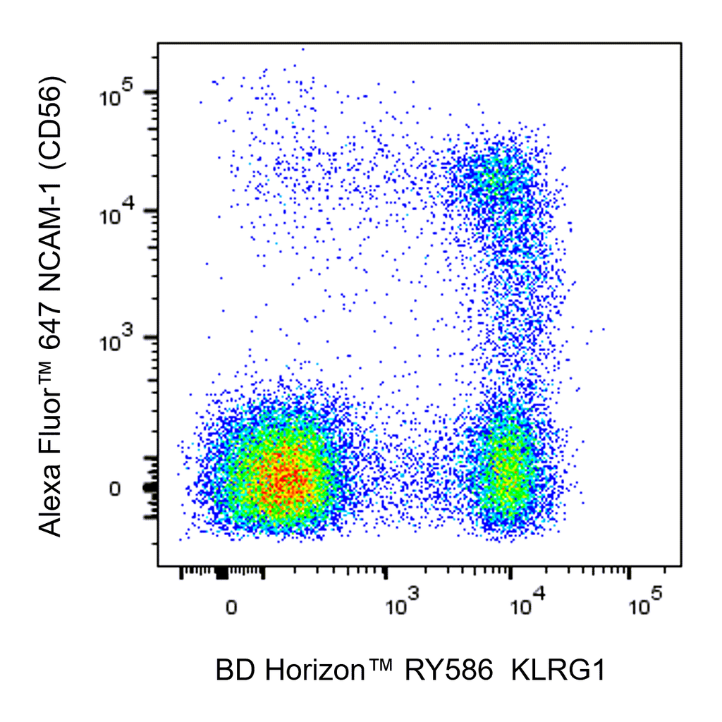 BD RY586 Mouse Anti-Human KLRG1