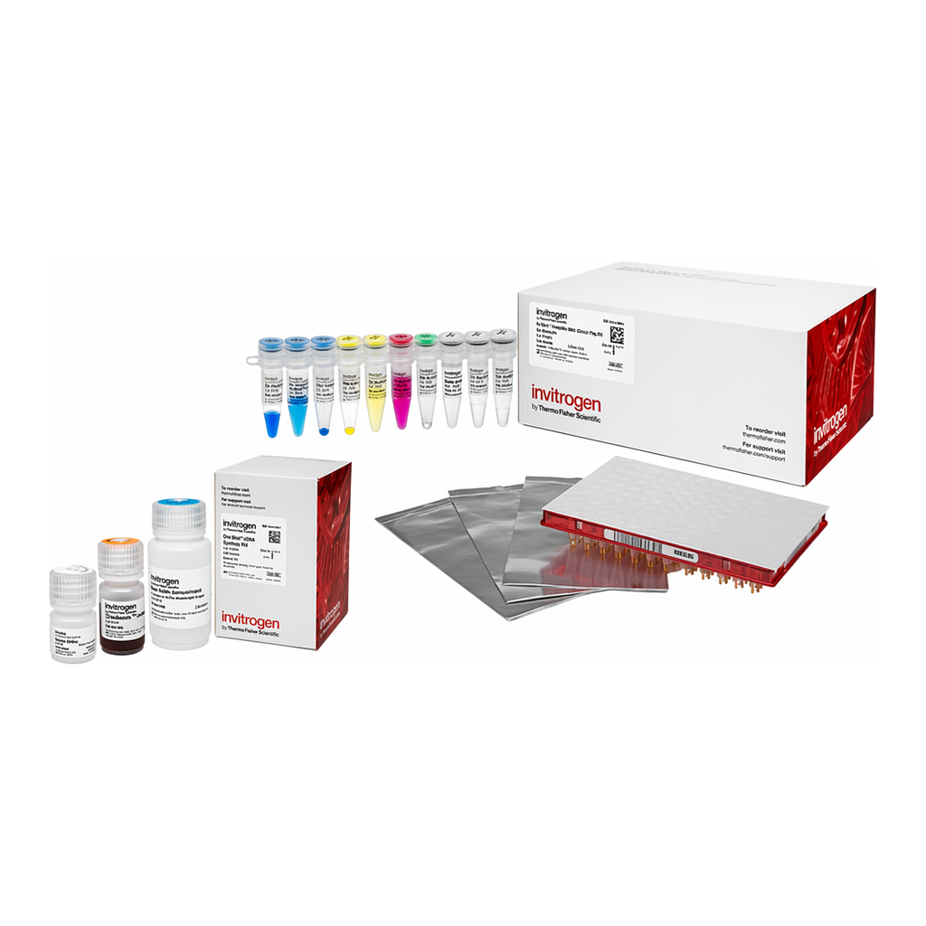 Thermo Fisher Scientific Collibri Stranded RNA Library Prep Kit for Illumina Systems, 24 preps