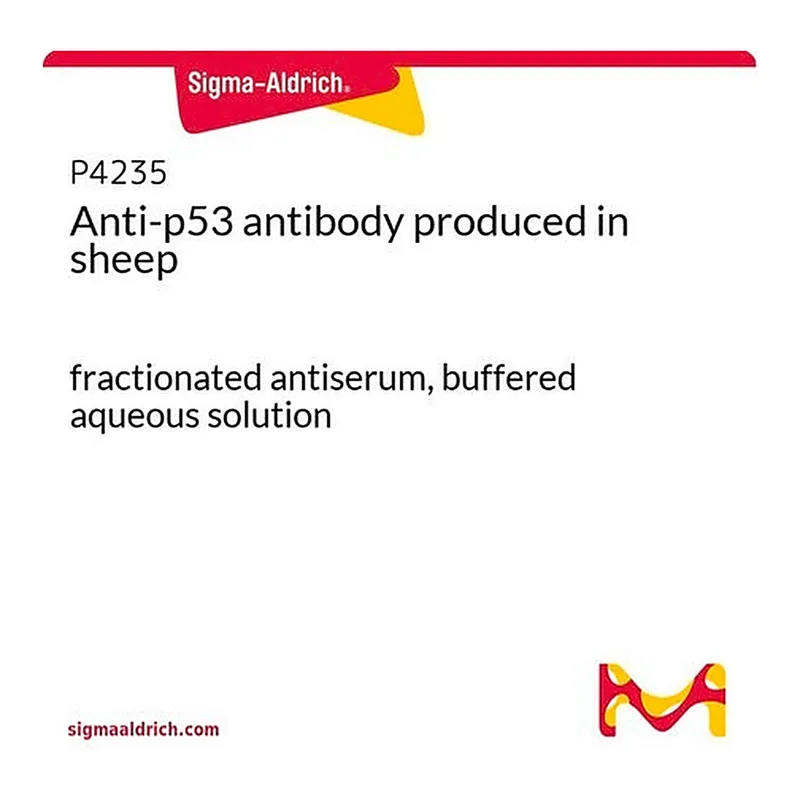 Merck Anti-p53 antibody produced in sheep