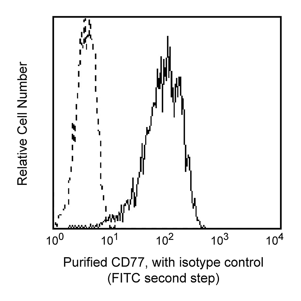 BD Purified Mouse Anti-Human CD77