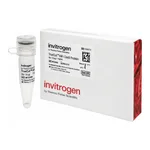 Thermo Fisher Scientific TrueCut HiFi Cas9 Protein (1 ug/μL), 10 ug
