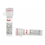 Merck MISSION(R) esiRNA