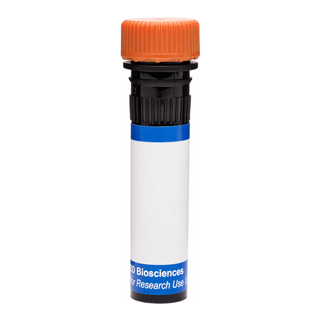 BD RB613 Mouse Anti-Mouse β2-Microglobulin [b,c]