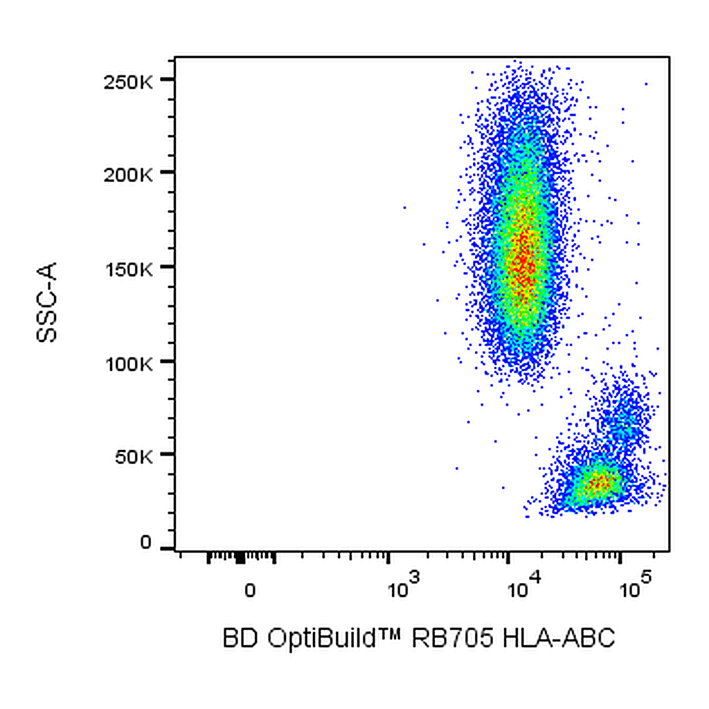 BD RB705 Mouse Anti-Human HLA-ABC