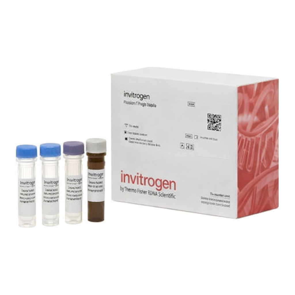 Thermo Fisher Scientific HSP27 Human ProcartaPlex Simplex Kit