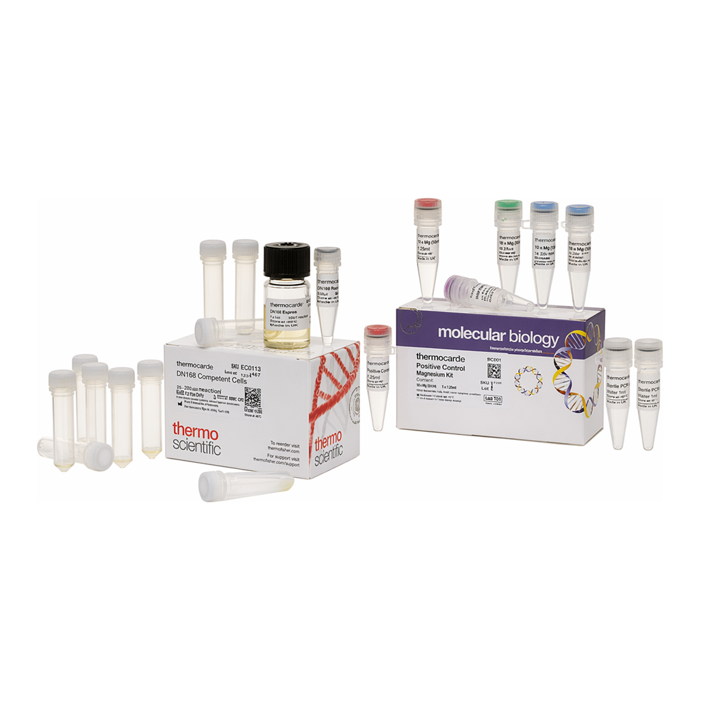 Thermo Fisher Scientific Phusion Site-Directed Mutagenesis Kit with DH10B Competent Cells