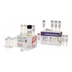 Thermo Fisher Scientific Phusion Site-Directed Mutagenesis Kit with DH10B Competent Cells