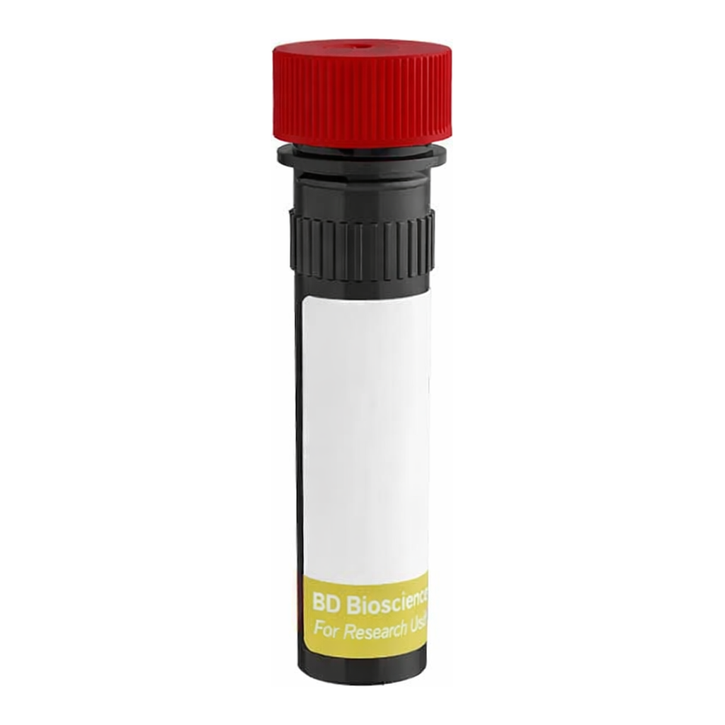 BD RY655 Rat Anti-Mouse Folate Receptor β (FRβ)