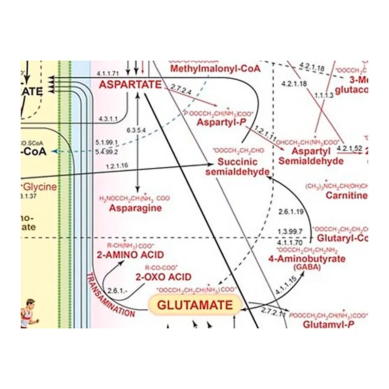 Merck Aspartate Metabolite Library