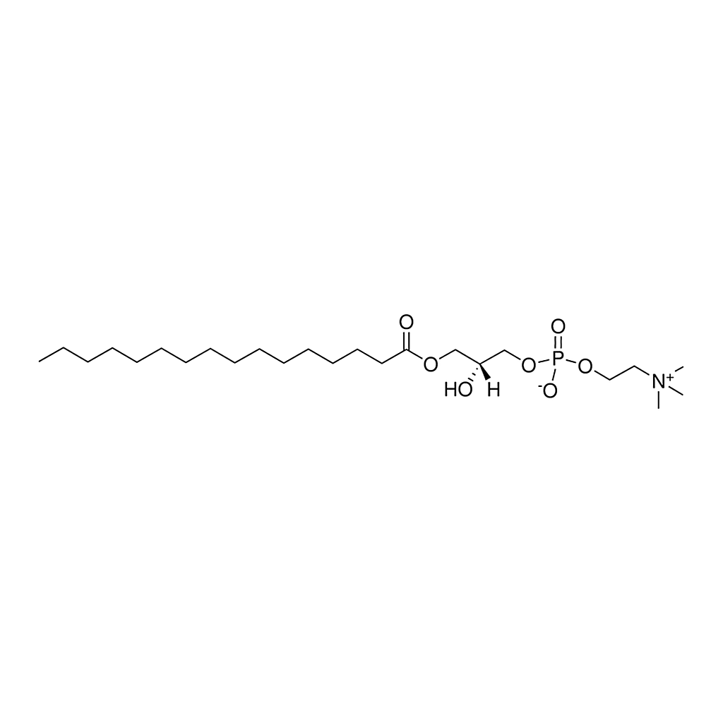 Merck 16:0 Lyso PC