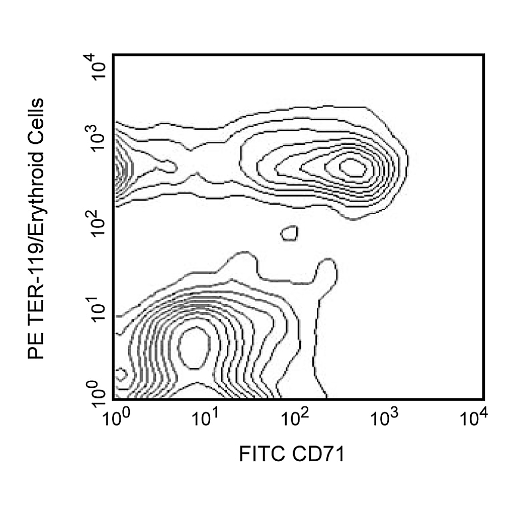 BD FITC Rat Anti-Mouse CD71