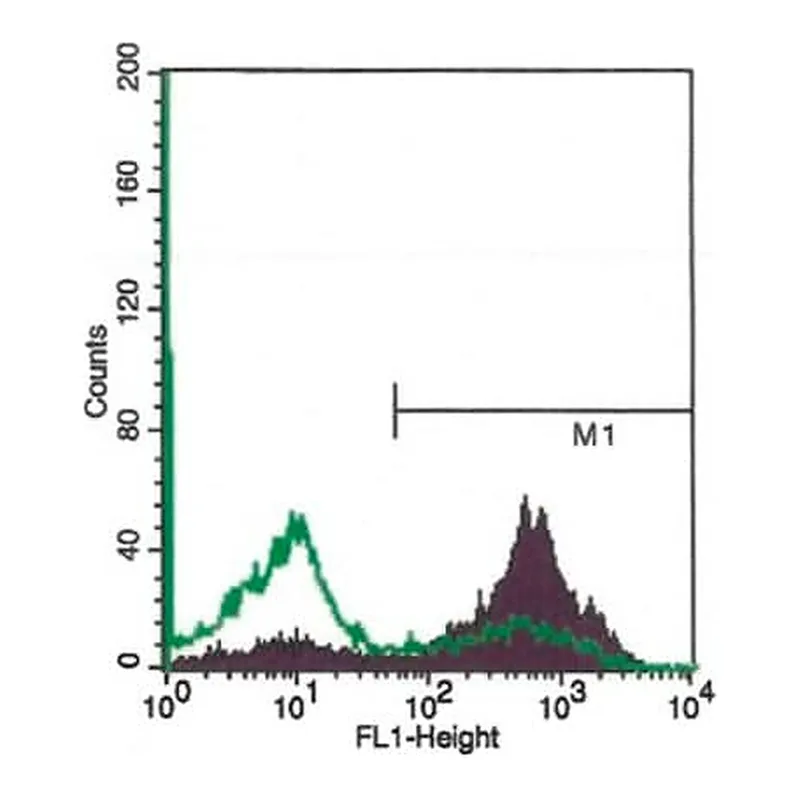 Merck Annexin V-FITC Apoptosis Detection Kit