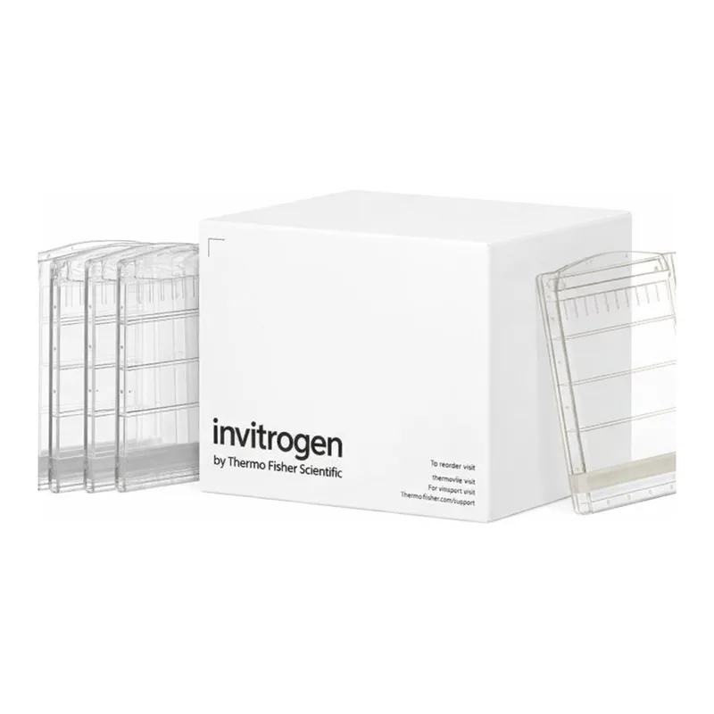 Thermo Fisher Scientific Novex Value Tris-Glycine Mini Protein Gel, 10%, 1.0 mm, 10-well
