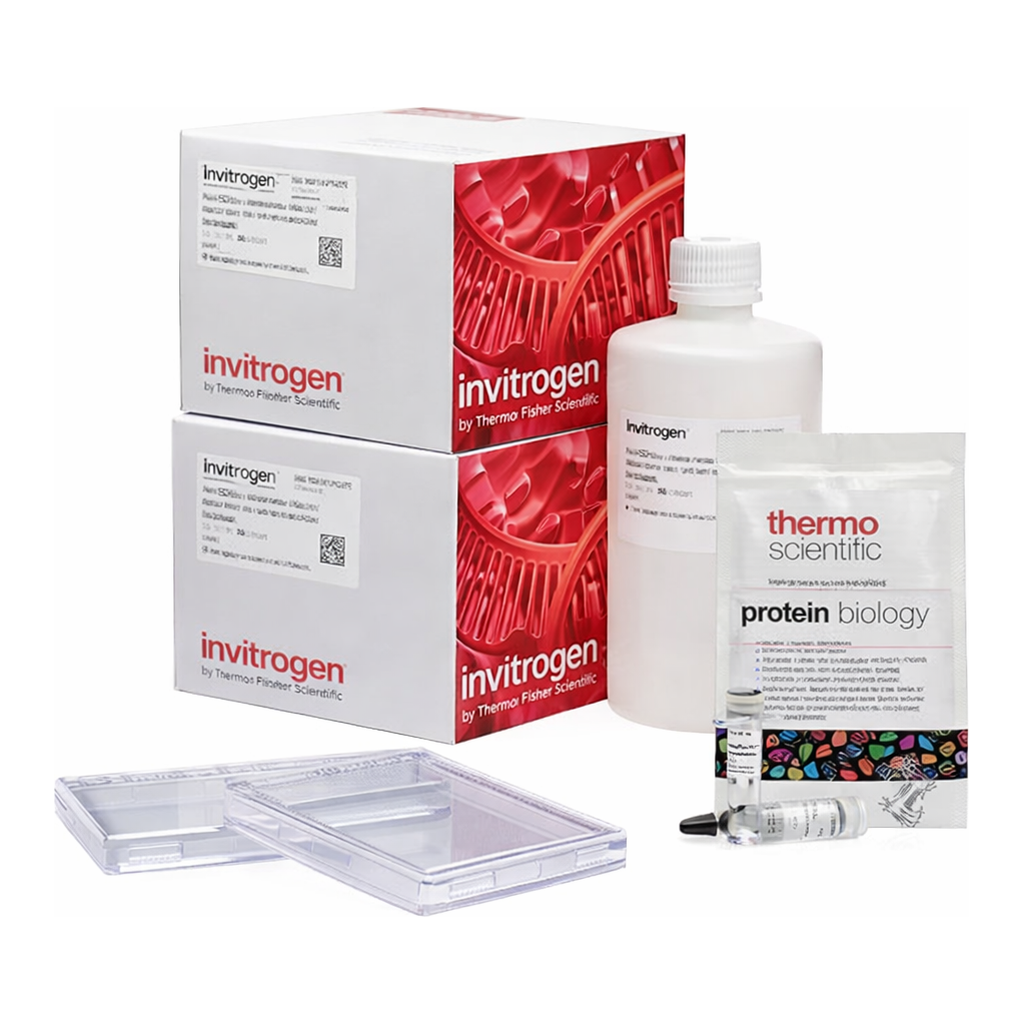 Thermo Fisher Scientific Bolt Bis-Tris Plus Resupply Pack, 4 to 12%, WedgeWell format, 1 Kit