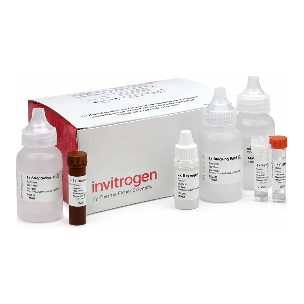 Thermo Fisher Scientific Aluora Spatial Amplification Streptavidin HRP Kit, 427/499 nm, 100 Reactions