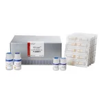 Intron RNA-spin™ Total RNA Extraction Kit