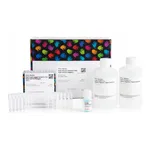 Thermo Fisher Scientific Pierce Dilution-Free Rapid Gold BCA Protein Assay, 500 mL