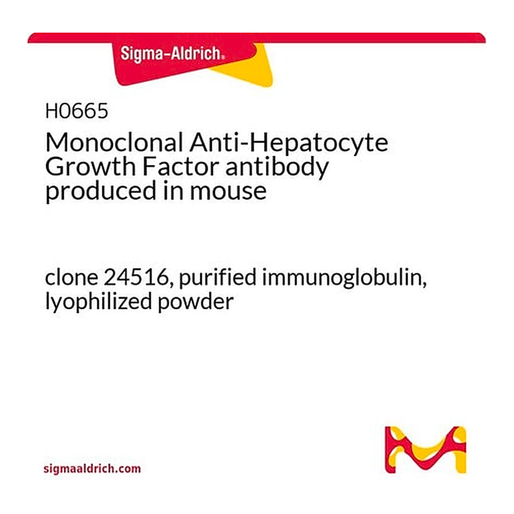 Merck Monoclonal Anti-Hepatocyte Growth Factor antibody produced in mouse