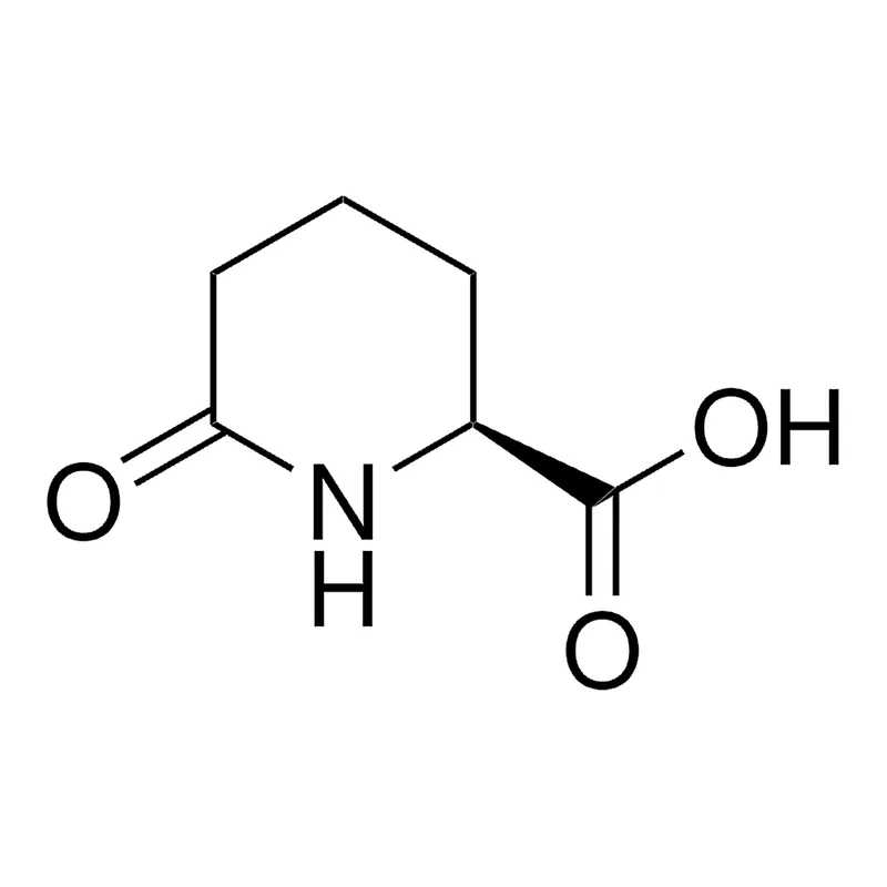 Merck (S)-6-Oxo-2-piperidinecarboxylic acid