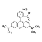 Merck TETRAMETHYLRHODAMINE ISOTHIOCYANATE MIX&