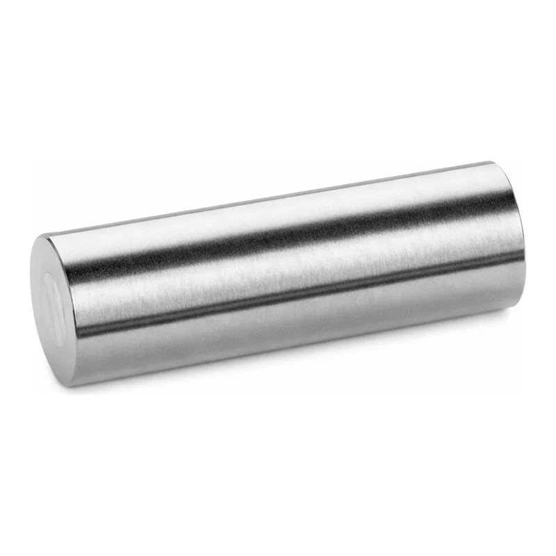 Waters XSelect HSS T3 Sentry Guard Cartridge, 100Å, 3.5 µm, 4.6 mm X 20 mm, 2/pk