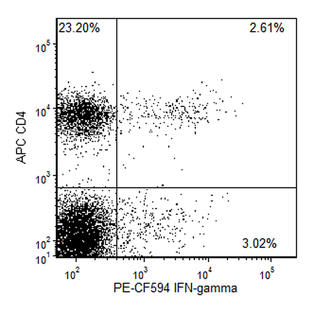 BD PE-CF594 Rat Anti-Mouse IFN-γ