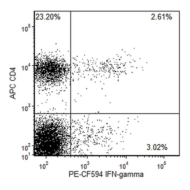 BD PE-CF594 Rat Anti-Mouse IFN-γ