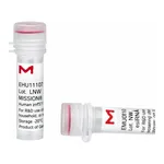 Merck MISSION(R) esiRNA