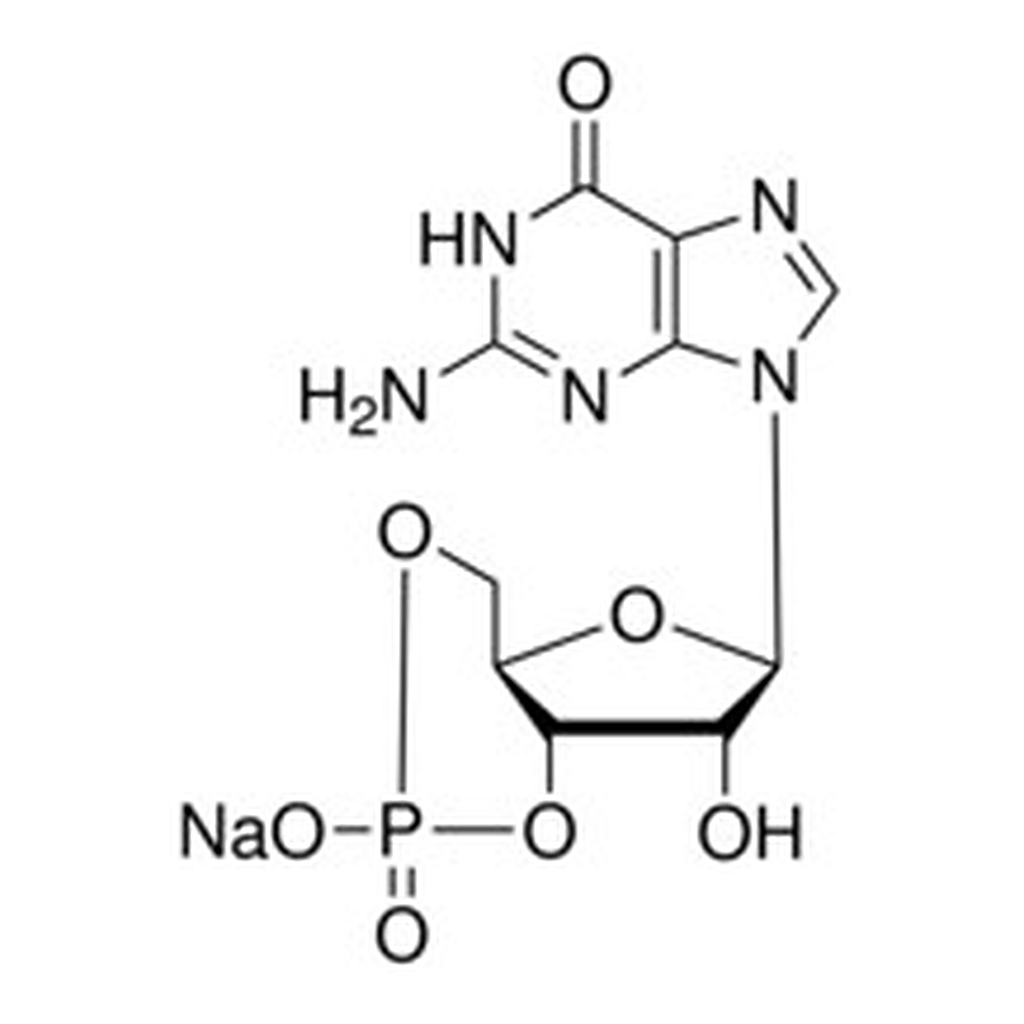 Merck GUANOSINE 3``:5``-CYCLIC MONOPHOSPHATE &