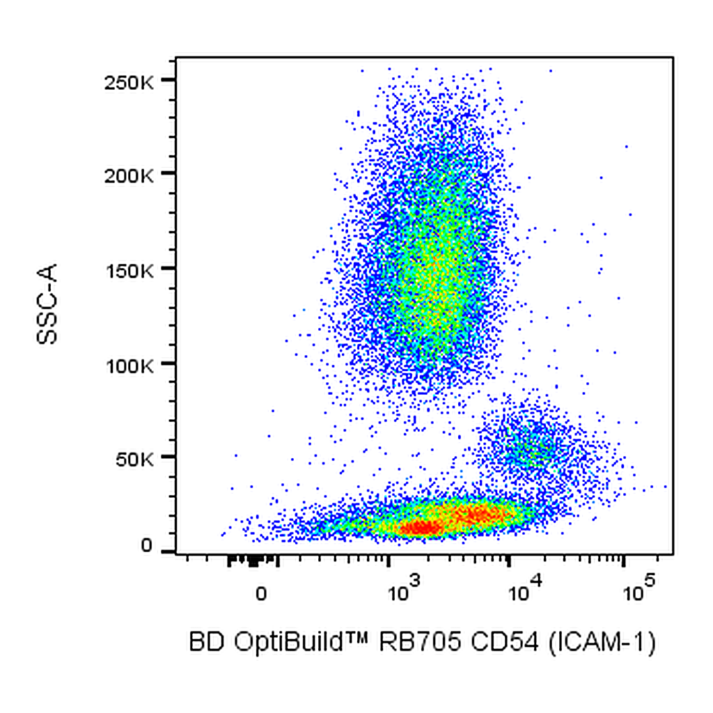 BD RB705 Mouse Anti-Human CD54 (ICAM-1)