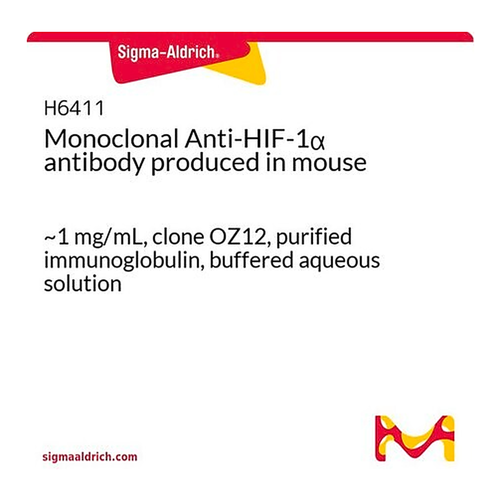 Merck Monoclonal Anti-HIF-1alpha antibody produced in mouse