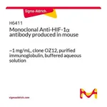 Merck Monoclonal Anti-HIF-1alpha antibody produced in mouse