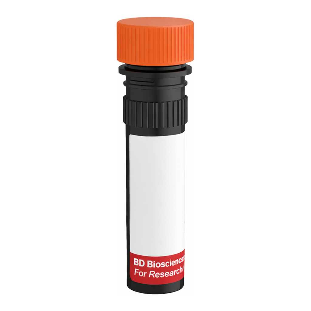 BD RR688 Mouse Anti-Rat CD71 (Transferrin Receptor)