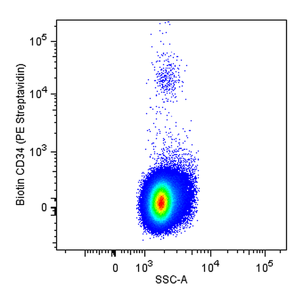 BD Biotin Mouse Anti-Human CD34