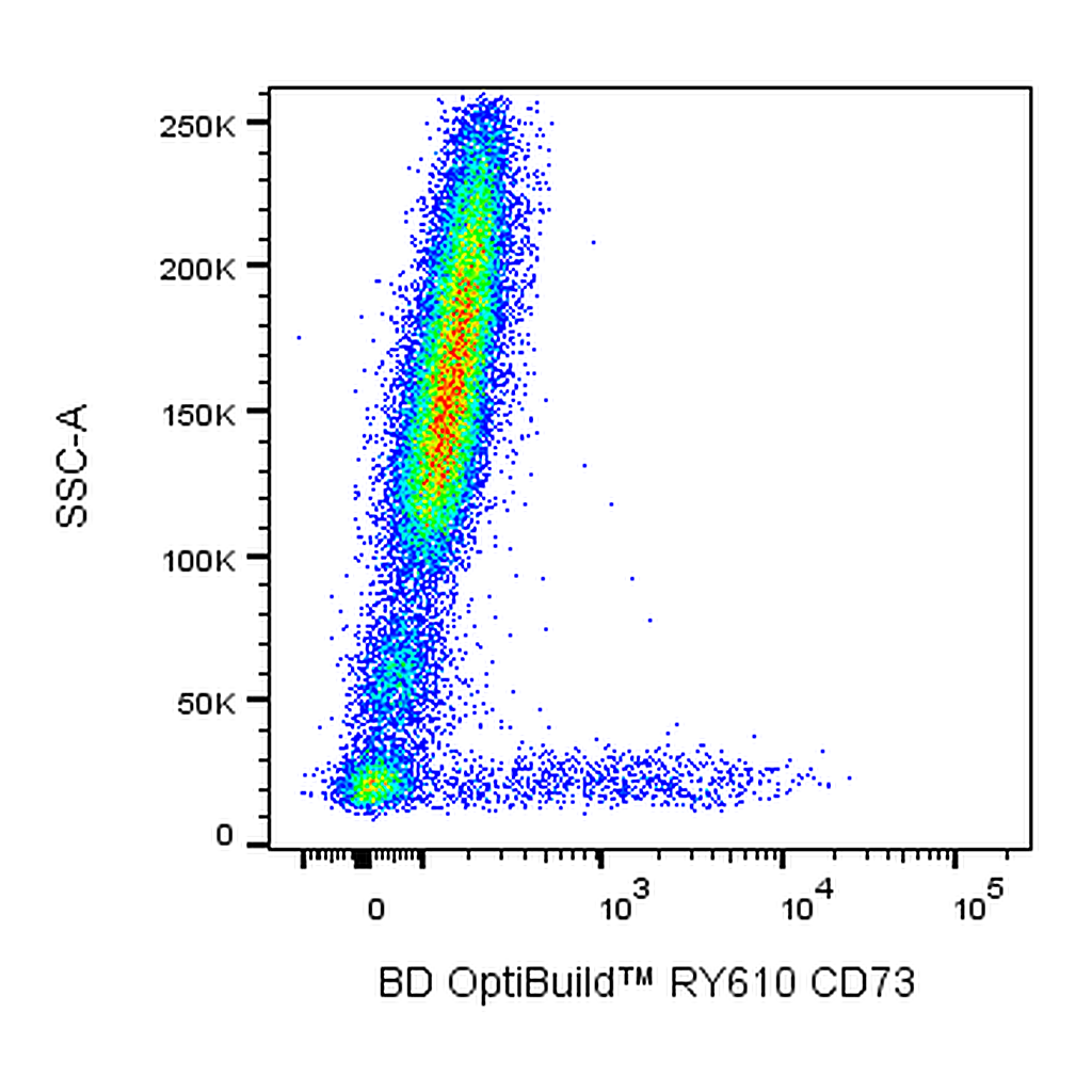 BD RY610 Mouse Anti-Human CD73