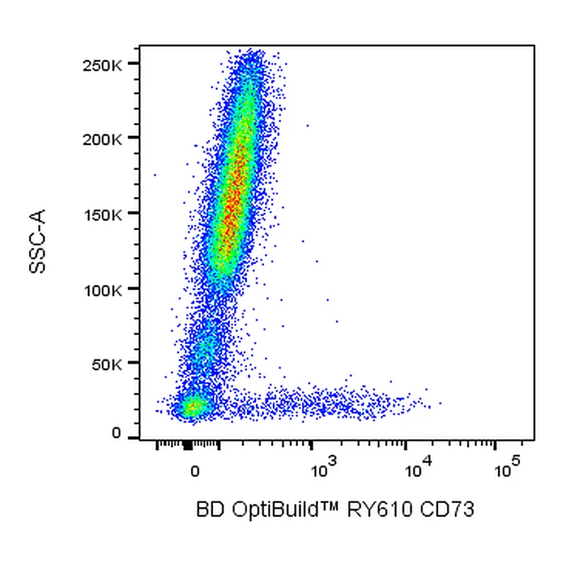 BD RY610 Mouse Anti-Human CD73