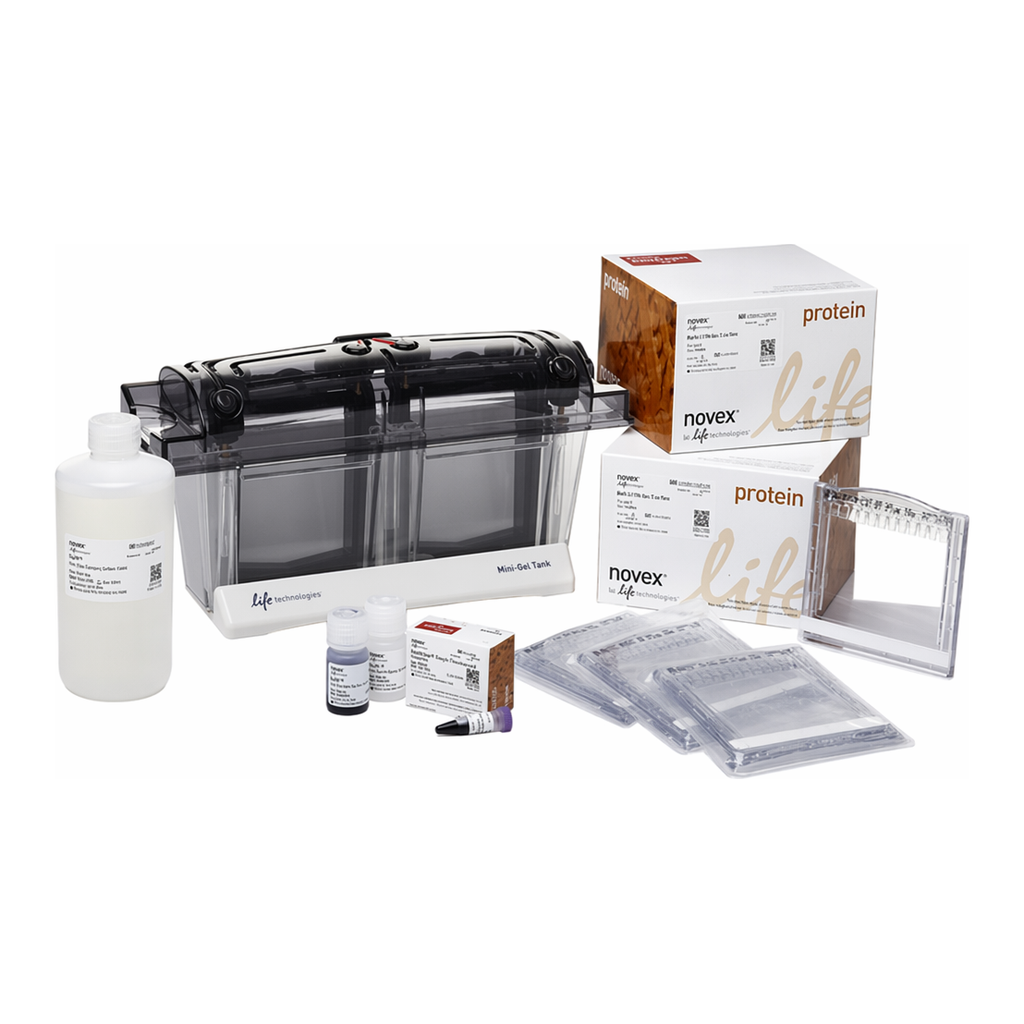Thermo Fisher Scientific Bolt Bis-Tris Welcome Pack, 10%, 10-well, 1 Welcome Pk. kit