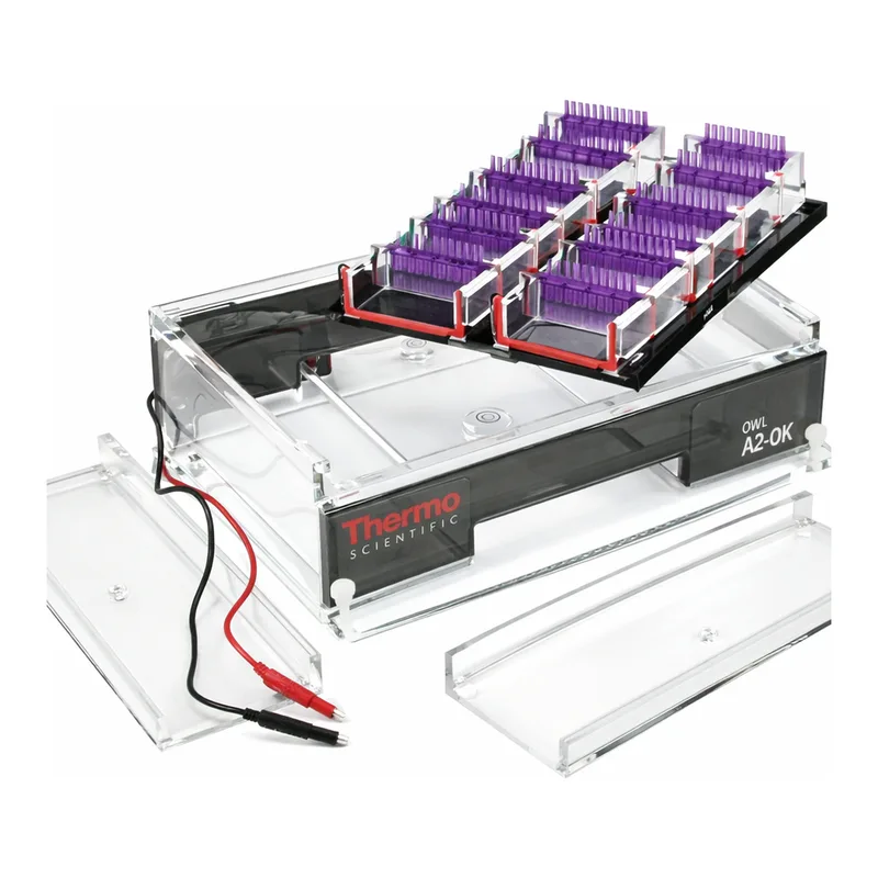 Thermo Fisher Scientific Owl A2-OK Multiple Gel Electrophoresis System