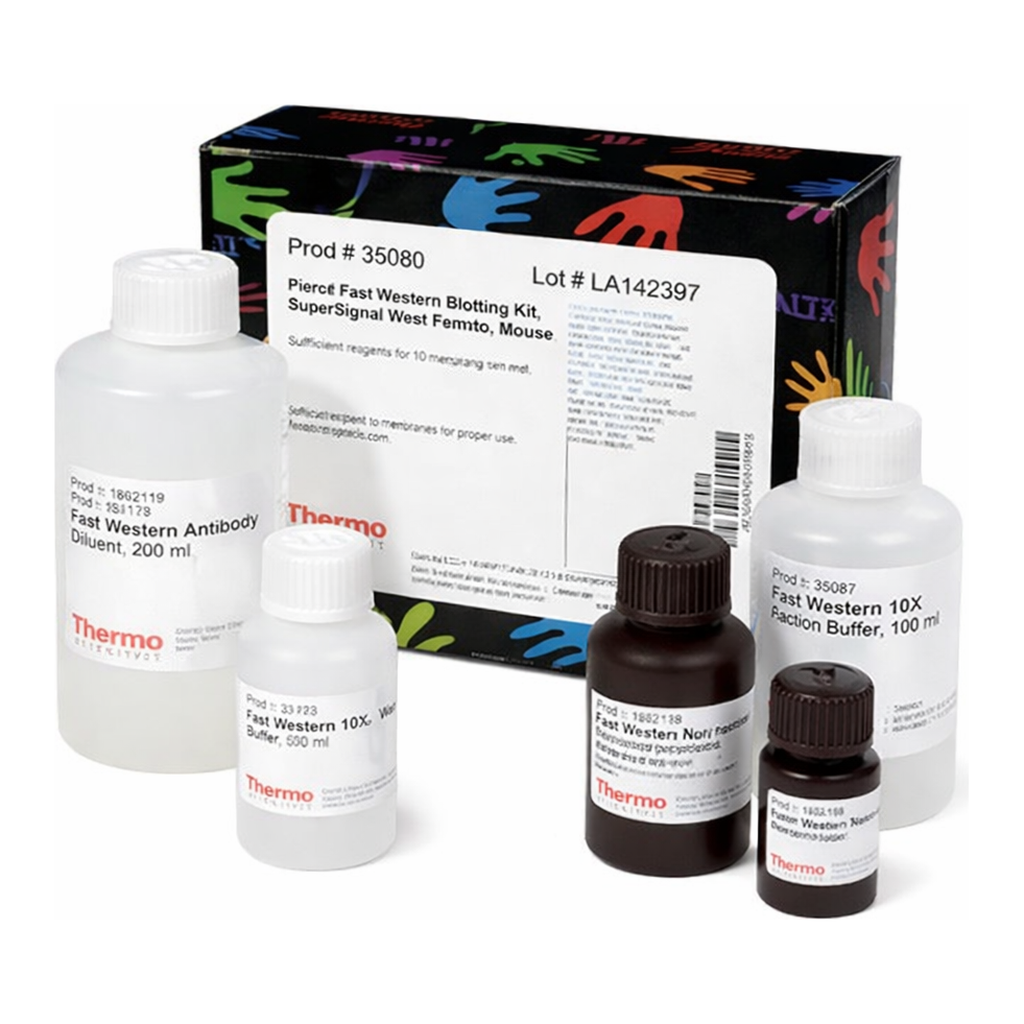 Thermo Fisher Scientific Pierce Fast Western Blot Kits, SuperSignal West Femto, Mouse