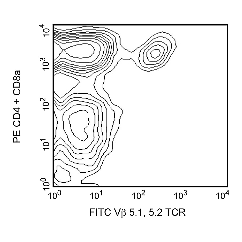 BD FITC Mouse Anti-Mouse Vβ 5.1, 5.2 T-Cell Receptor