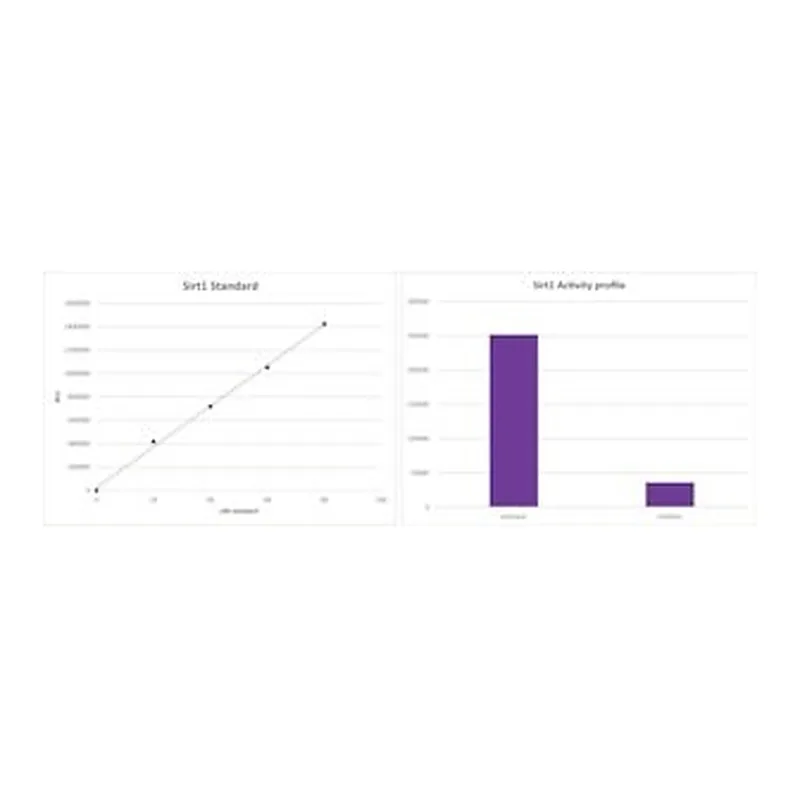 Merck SIRT1 ASSAY KIT