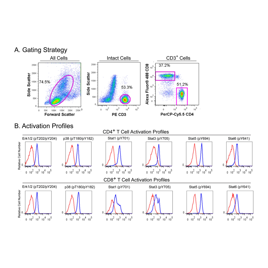 BD T Cell Kit Lyophilized Cells