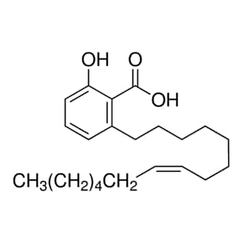 Merck GINKGOLIC ACID C15:1
