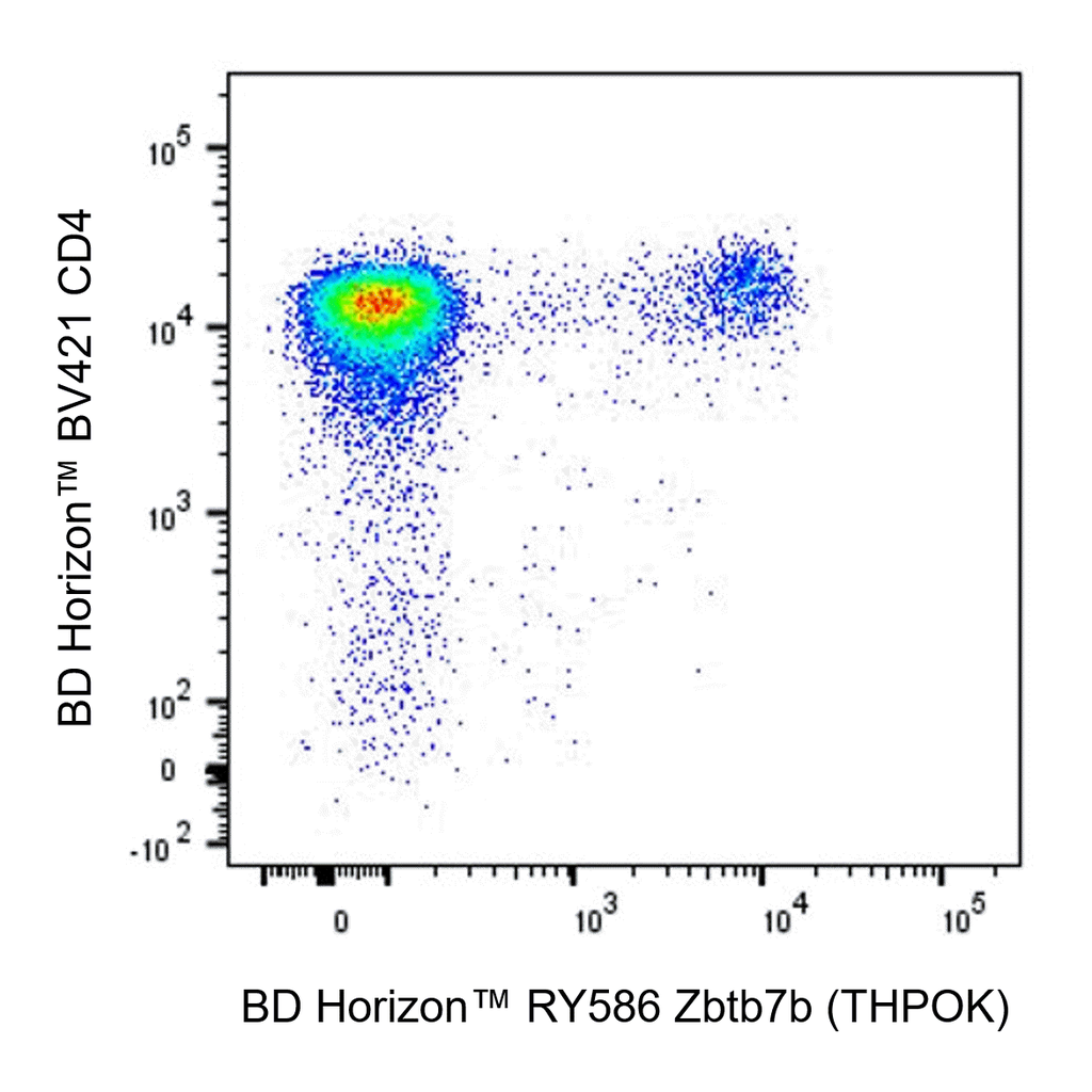 BD RY586 Rat Anti-Mouse Zbtb7b