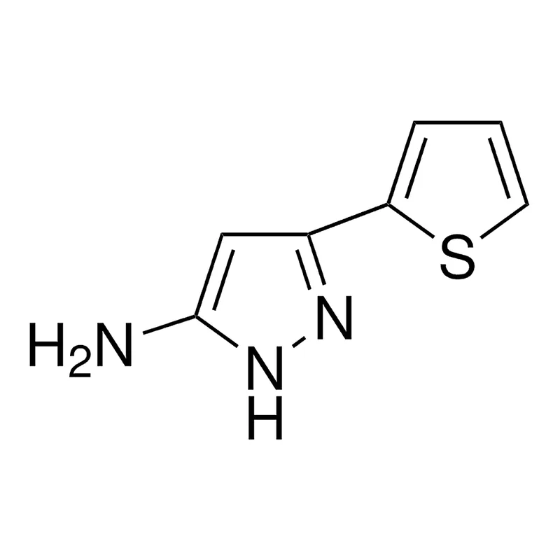 Merck 5-Amino-3-(2-thienyl)pyrazole