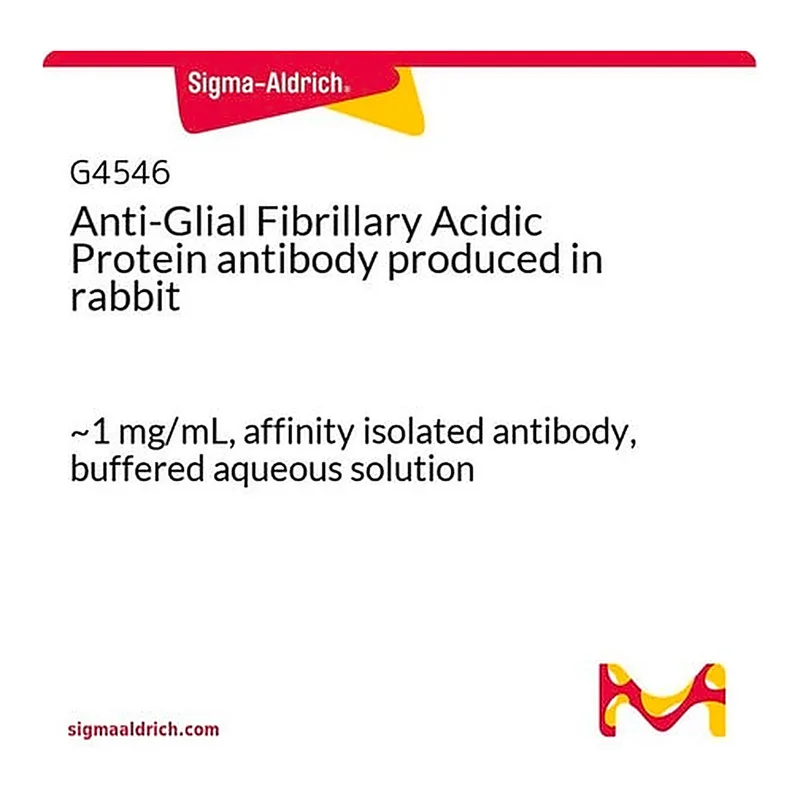 Merck Anti-Glial Fibrillary Acidic Protein antibody produced in rabbit