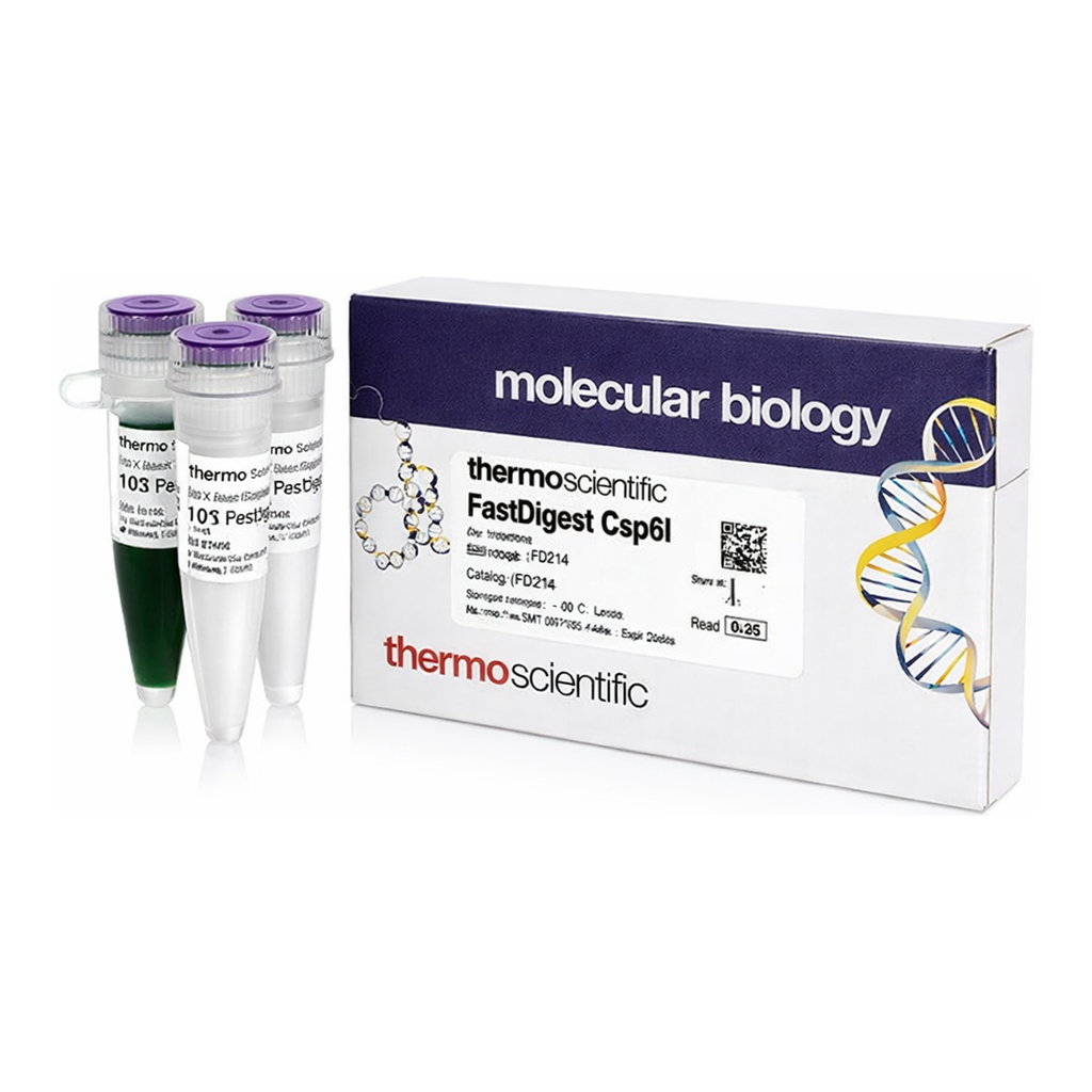 Thermo Fisher Scientific FastDigest Csp6I