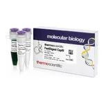 Thermo Fisher Scientific FastDigest Csp6I